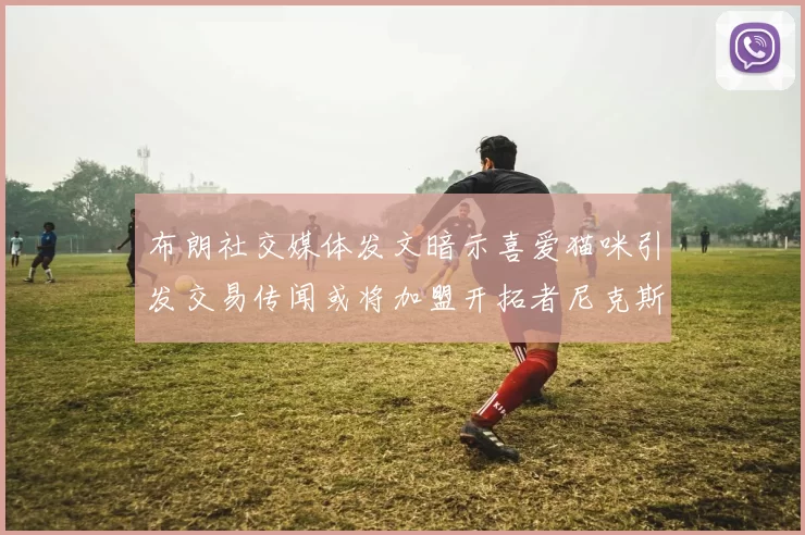 布朗社交媒体发文暗示喜爱猫咪引发交易传闻或将加盟开拓者尼克斯雷霆湖人