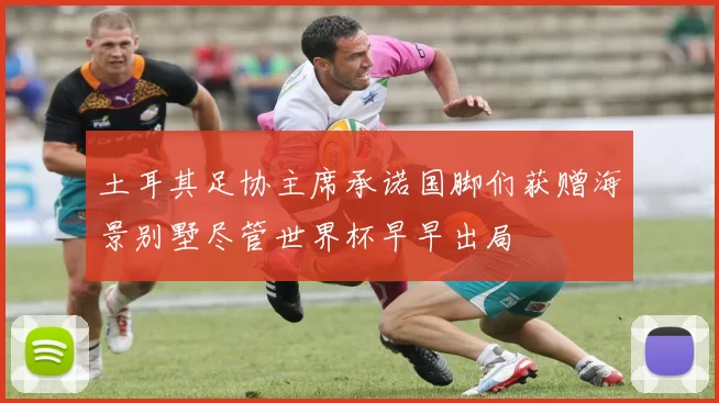 土耳其足协主席承诺国脚们获赠海景别墅尽管世界杯早早出局