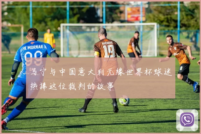 马宁与中国意大利无缘世界杯球迷热捧这位裁判的故事